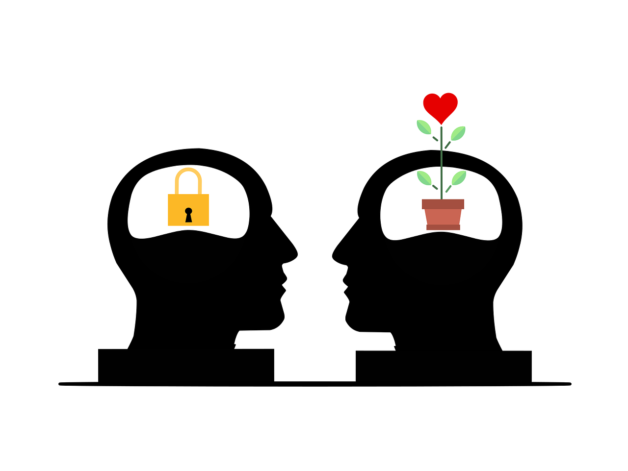 Auf dem Bild sieht man zwei Köpfe. Der eine Kopf hat ein Schloss an der Stelle des Gehirns. Der anderen hat einen Blumentopf an der Stelle. Das soll zwei verschiedene Mindsets darstellen und das man sein Mindset ändern kann.