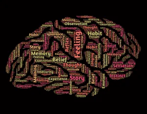 Zu sehen ist ein Gehirn dargestellt aus vielen verschiedenen Begriffen aus der Verkaufspsychologie