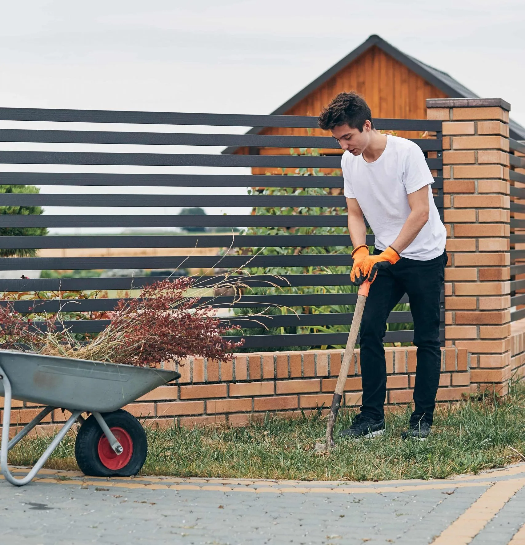 Teenager-Junge mit weißem T-Shirt und dunkler Hose gräbt im Garten mit Schaufel. Im Hintergrund Backsteinzaun und ein Schubkarre neben ihm.